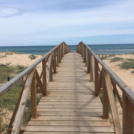 Mimosa Apartment Guardamar del Segura Zewnętrze zdjęcie